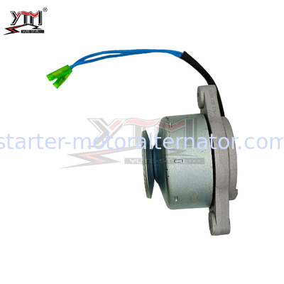 Auto Diesel Engine Spare Parts 12V 17A 22124 APM0012 40058019 Yangma Hydrocooling